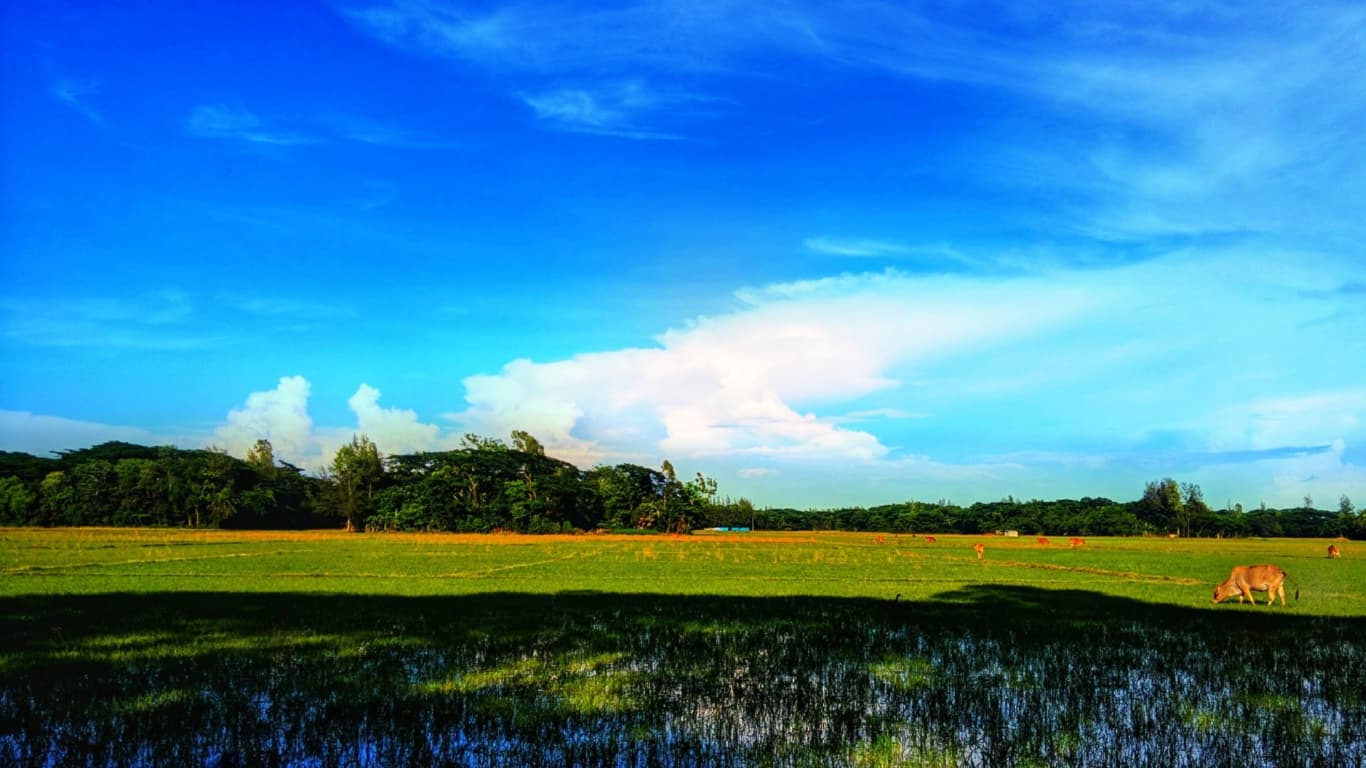 Bangladesh